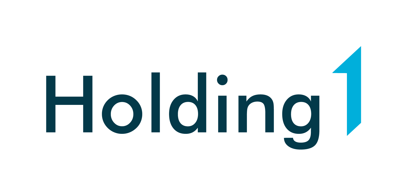holding1 logo